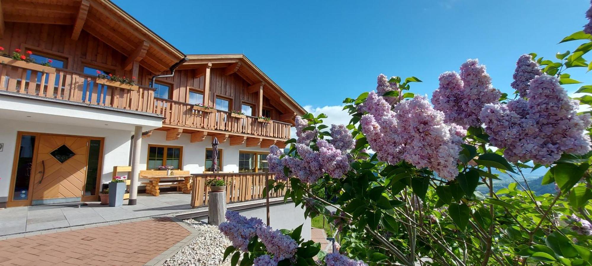 La Montana - Ski & Hiking Lodge Шладмінг Екстер'єр фото